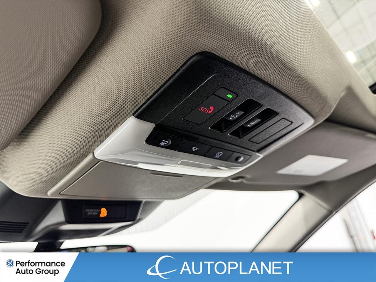2025 Nissan Rogue SV AWD, Apple CarPlay, Back Up Cam, Pano Roof! Photo