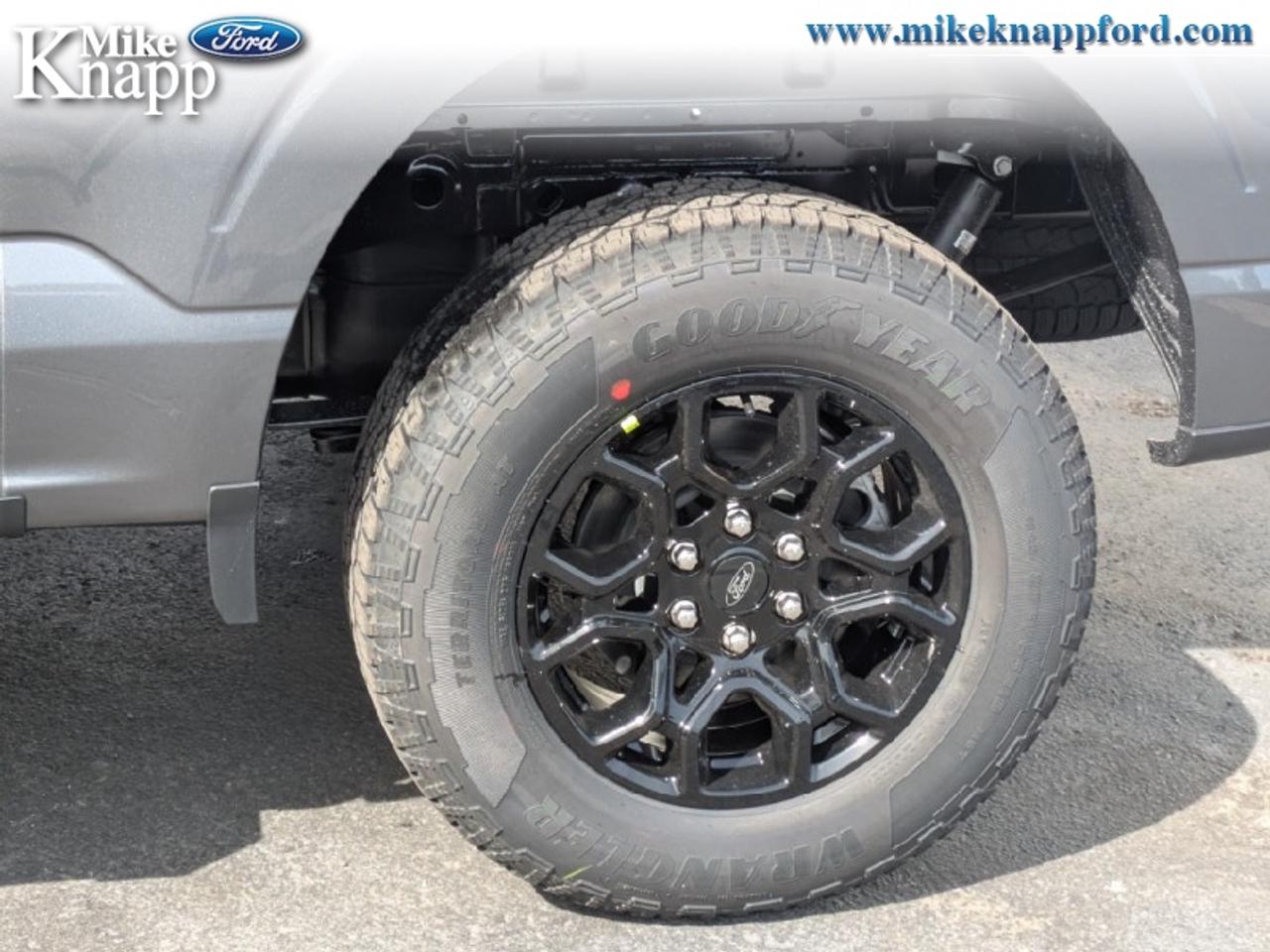 2026 Ford F-150 XLT Photo