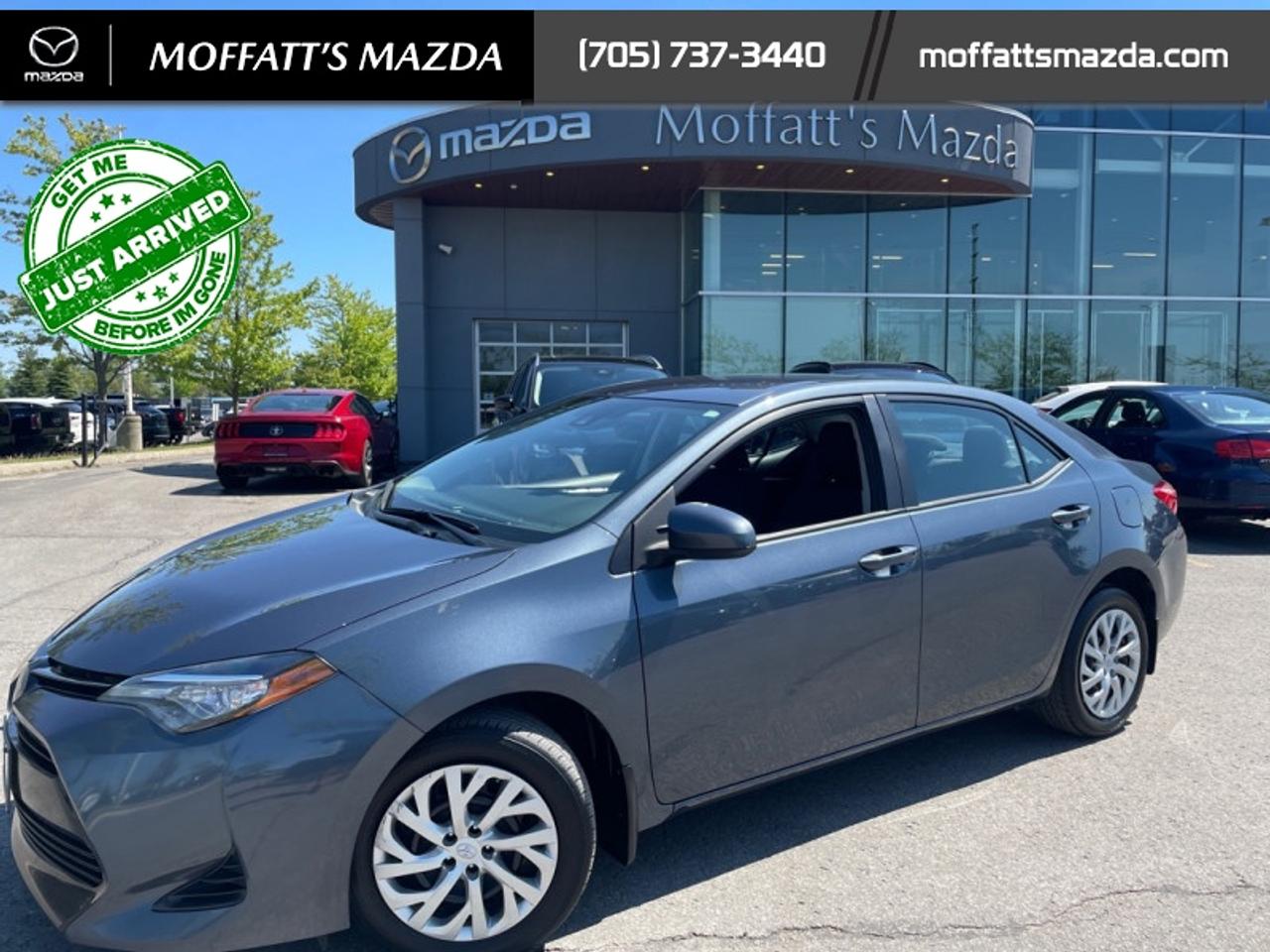 2017 Toyota Corolla LE Photo