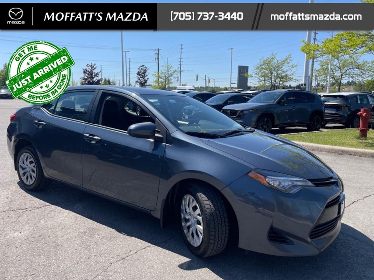 2017 Toyota Corolla LE Photo
