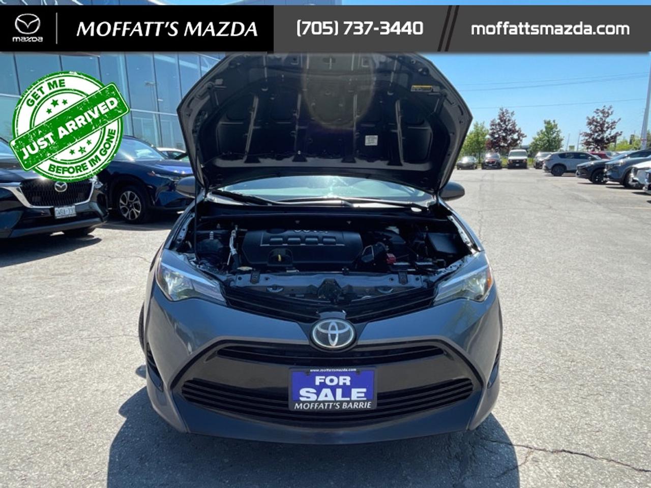 2017 Toyota Corolla LE Photo