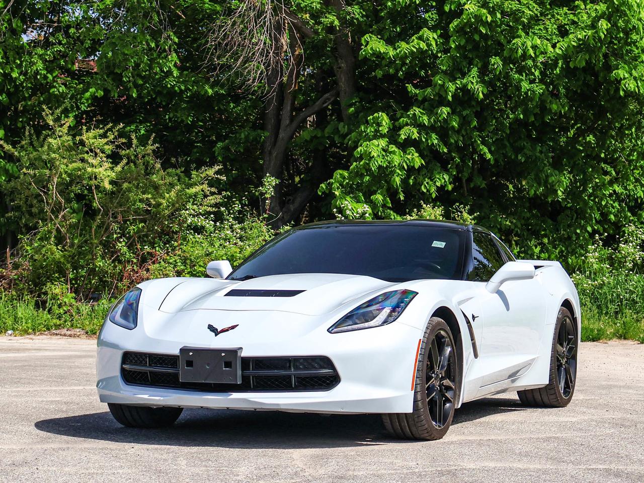 2019 Chevrolet Corvette Z51 1LT Photo