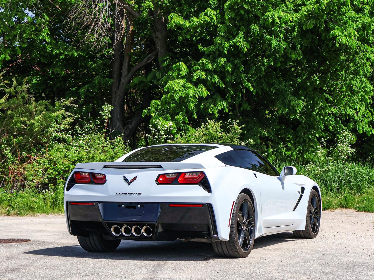 2019 Chevrolet Corvette Z51 1LT Photo