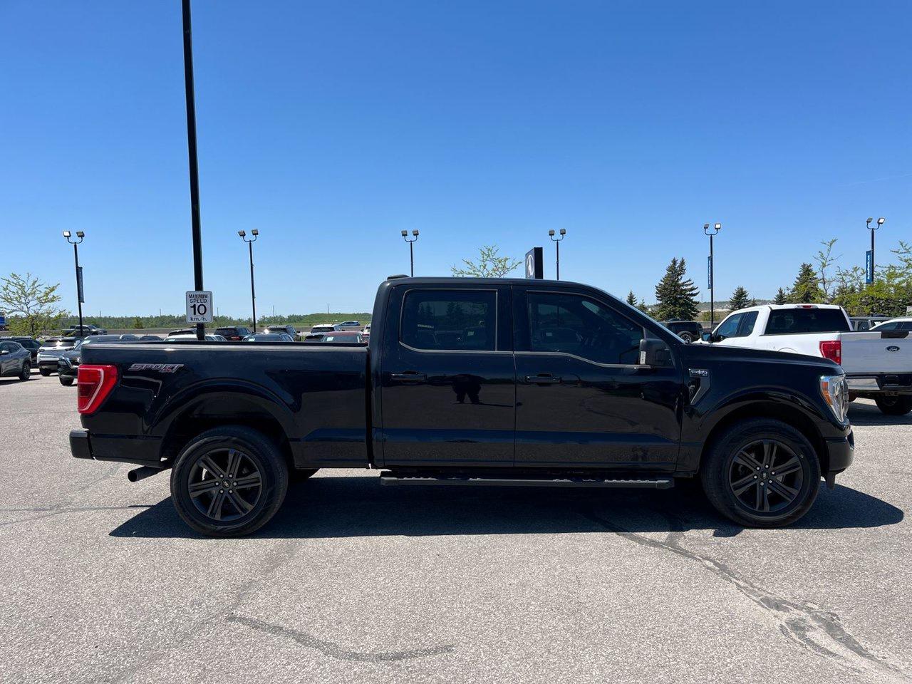 2022 Ford F-150 XLT 4WD SuperCrew 6.5' Box Photo