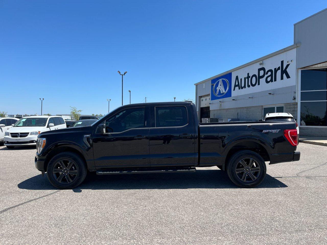 2022 Ford F-150 XLT 4WD SuperCrew 6.5' Box Photo