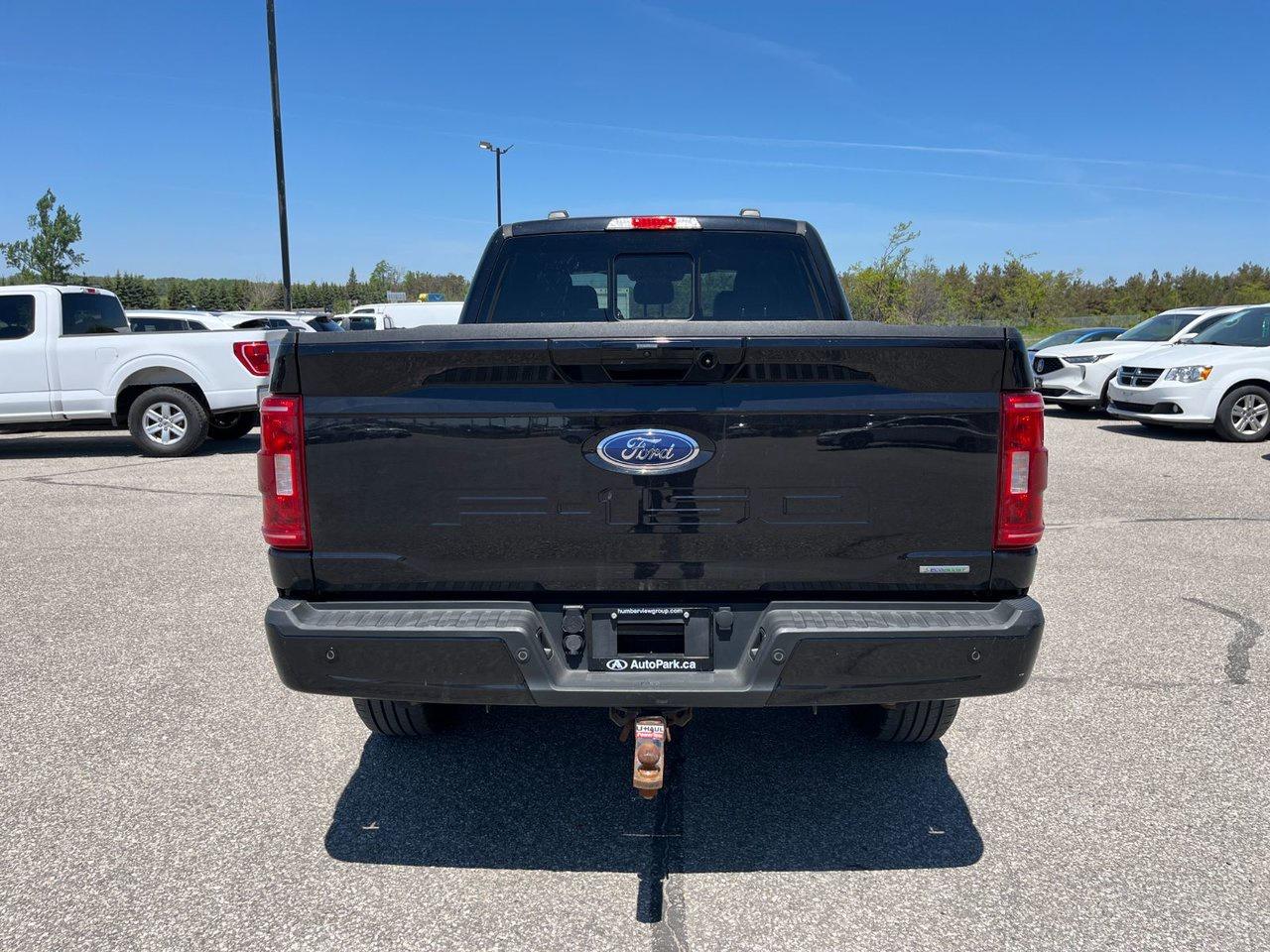 2022 Ford F-150 XLT 4WD SuperCrew 6.5' Box Photo