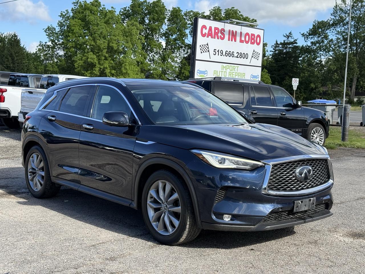 2019 Infiniti QX50 Essential Awd Photo