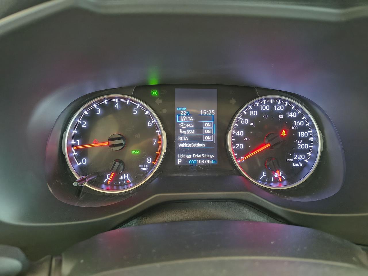2019 Toyota RAV4 XLE Photo0