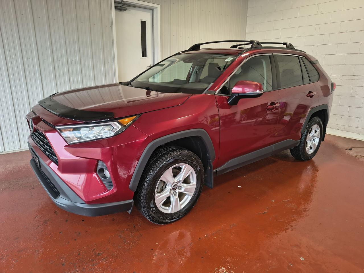 2019 Toyota RAV4 XLE Photo0