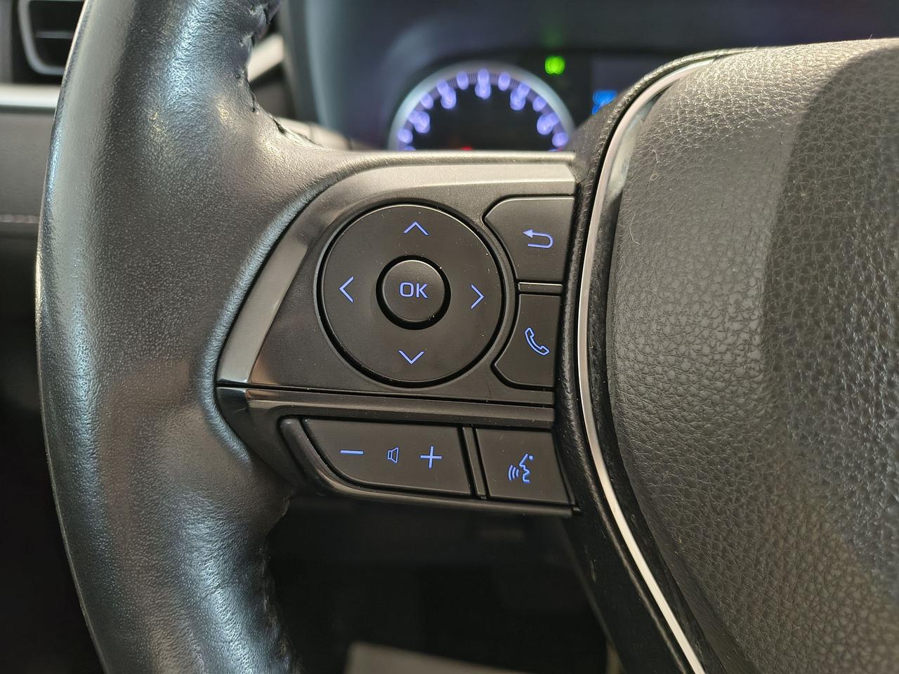 2019 Toyota RAV4 XLE Photo0