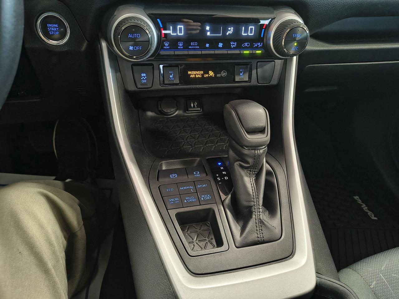 2019 Toyota RAV4 XLE Photo