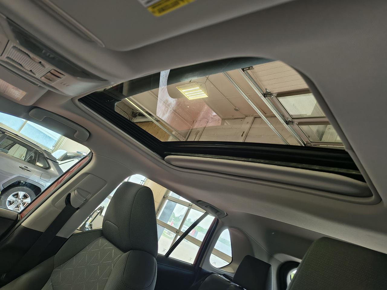 2019 Toyota RAV4 XLE Photo0