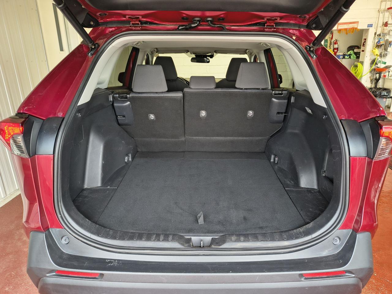 2019 Toyota RAV4 XLE Photo0