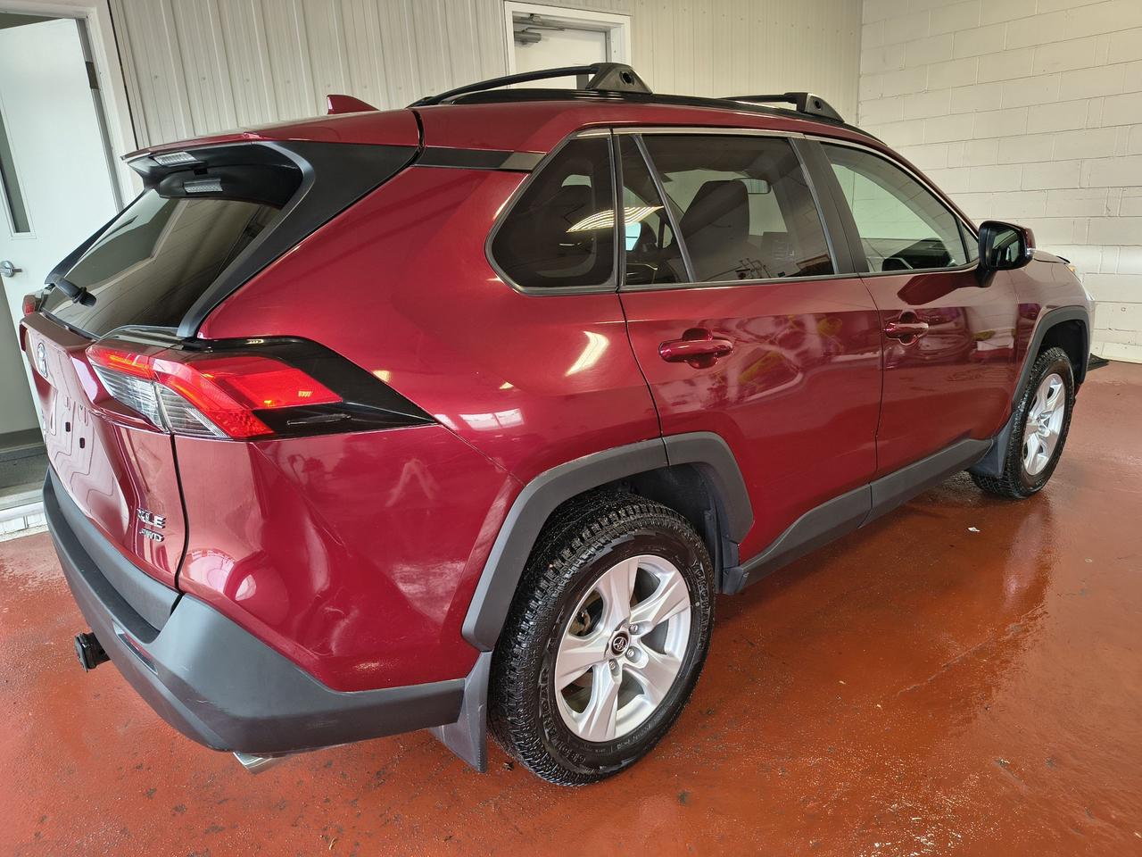2019 Toyota RAV4 XLE Photo