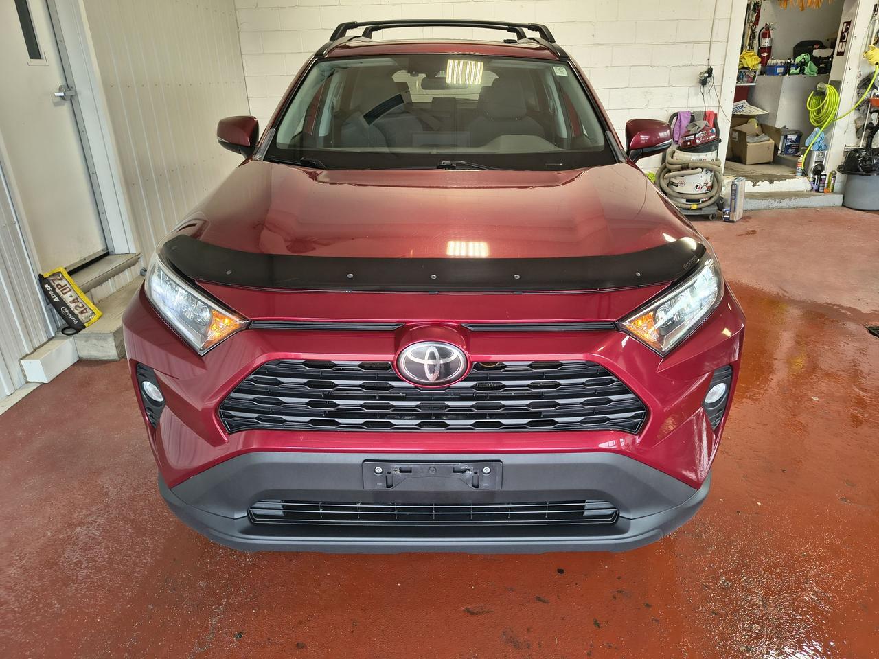2019 Toyota RAV4 XLE Photo
