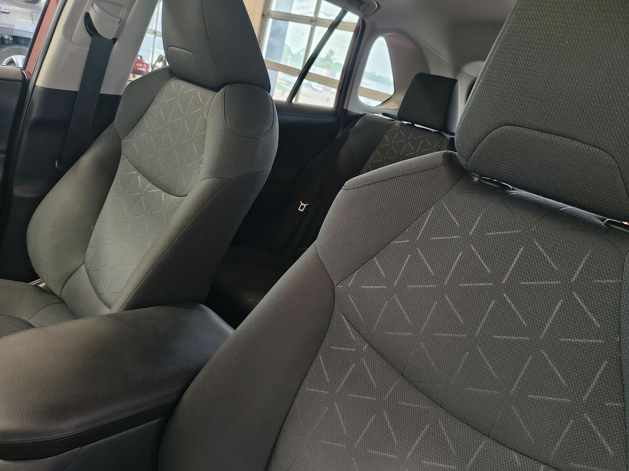 2019 Toyota RAV4 XLE Photo0