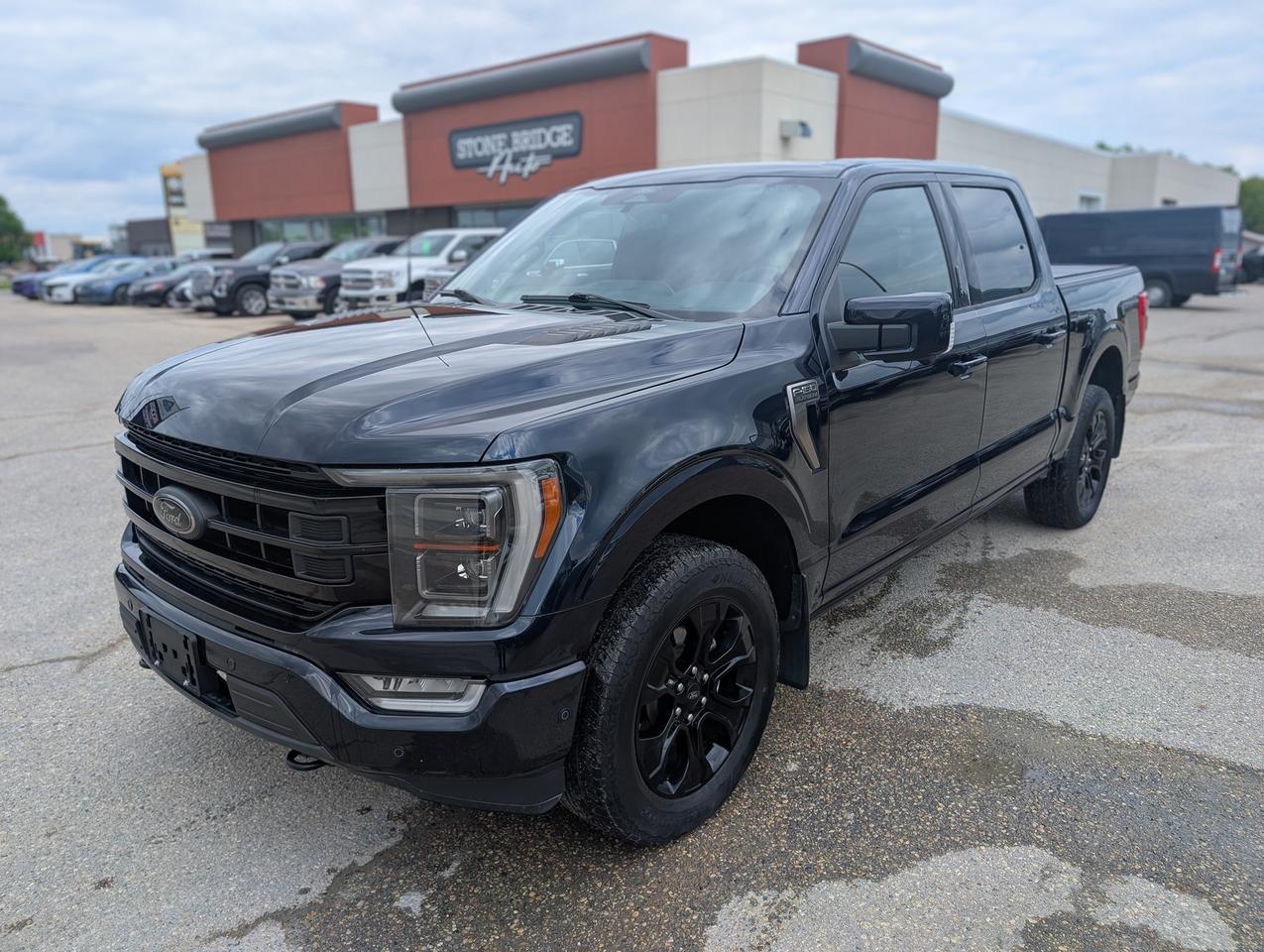 Used 2022 Ford F-150 Platinum | Tonneau cover | Running boards for sale in Steinbach, MB