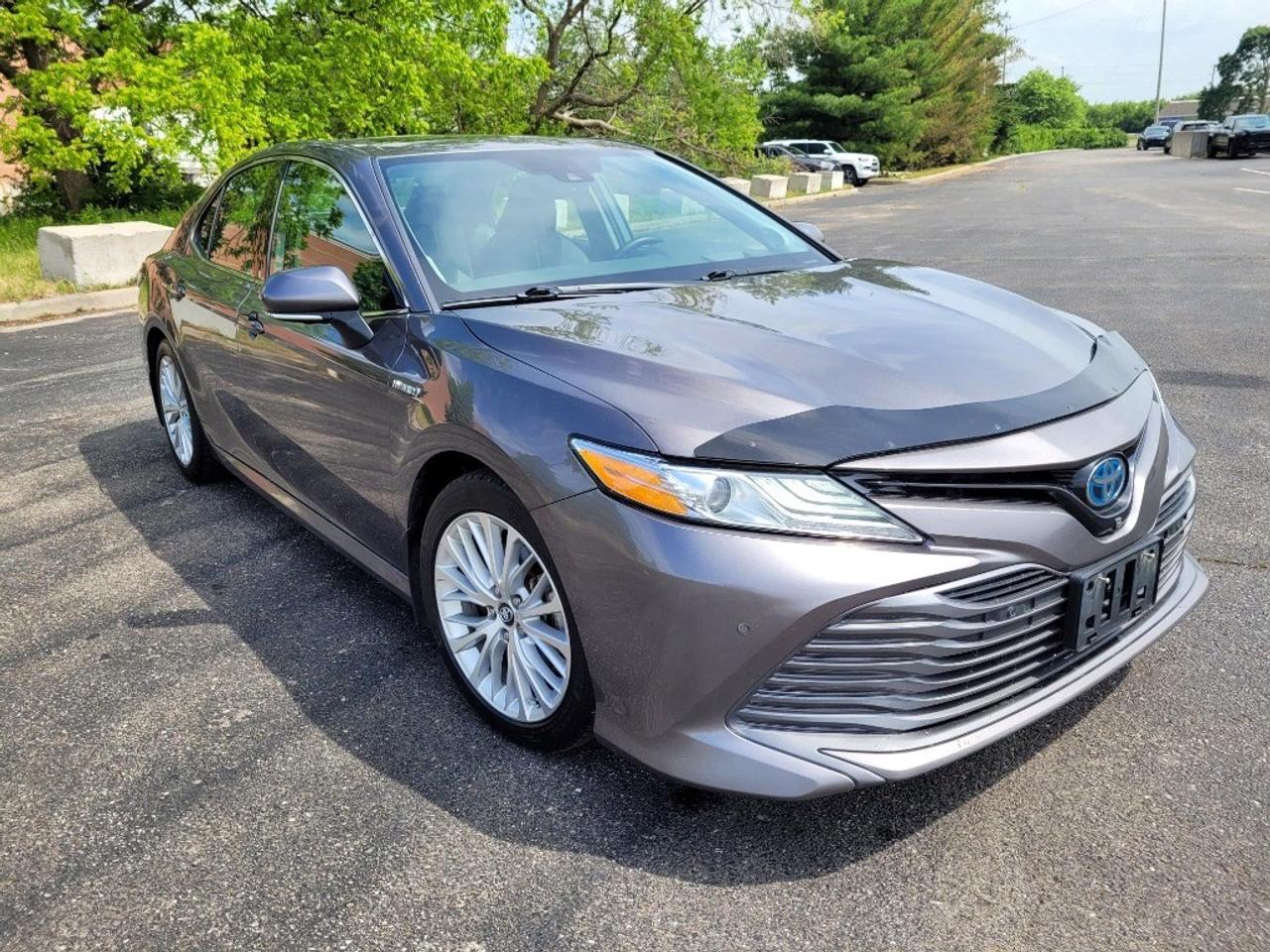 2020 Toyota Camry HYBRID Hybrid XLE Auto Photo