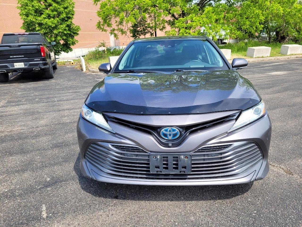 2020 Toyota Camry HYBRID Hybrid XLE Auto Photo