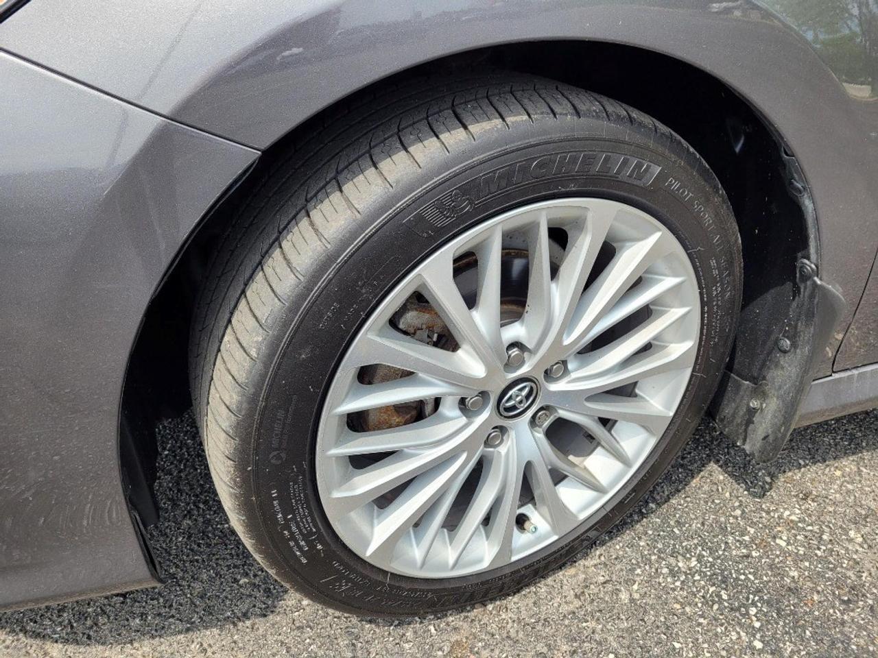 2020 Toyota Camry HYBRID Hybrid XLE Auto Photo