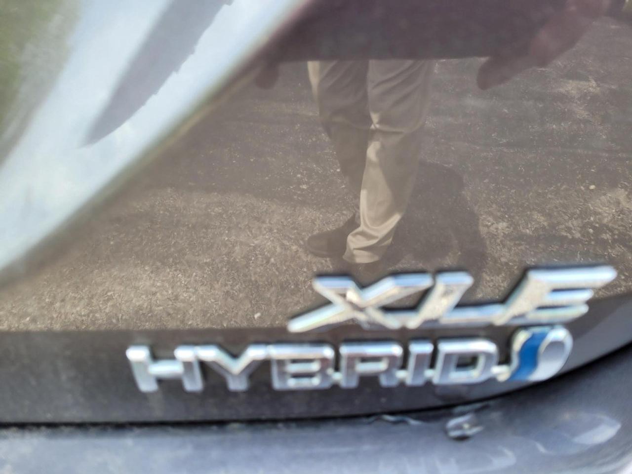 2020 Toyota Camry HYBRID Hybrid XLE Auto Photo