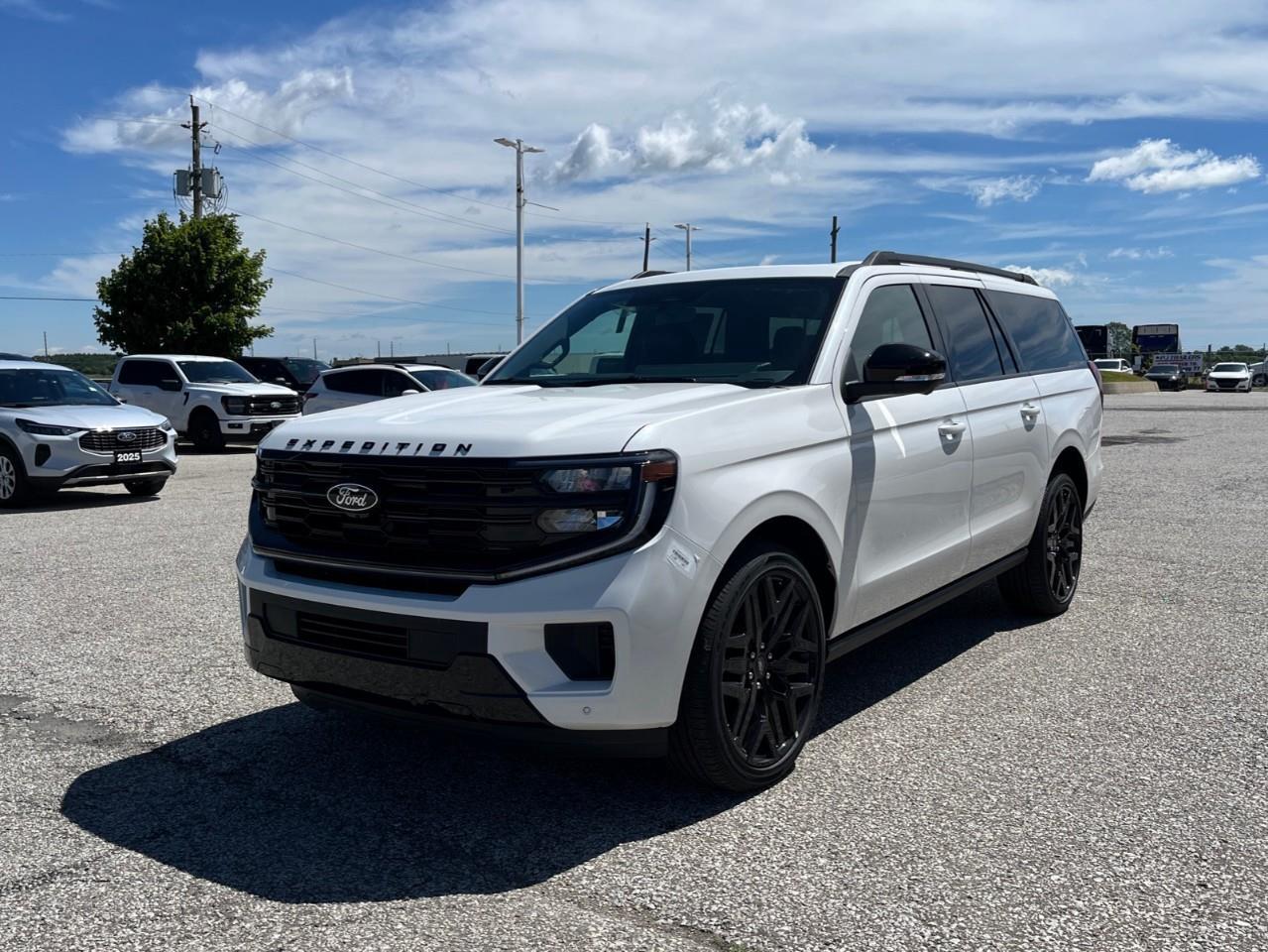 2026 Ford Expedition Max Platinum Photo