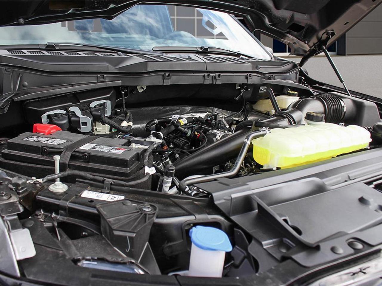 2026 Ford F-150 XLT 4WD SuperCrew 5.5' Box 302A Photo