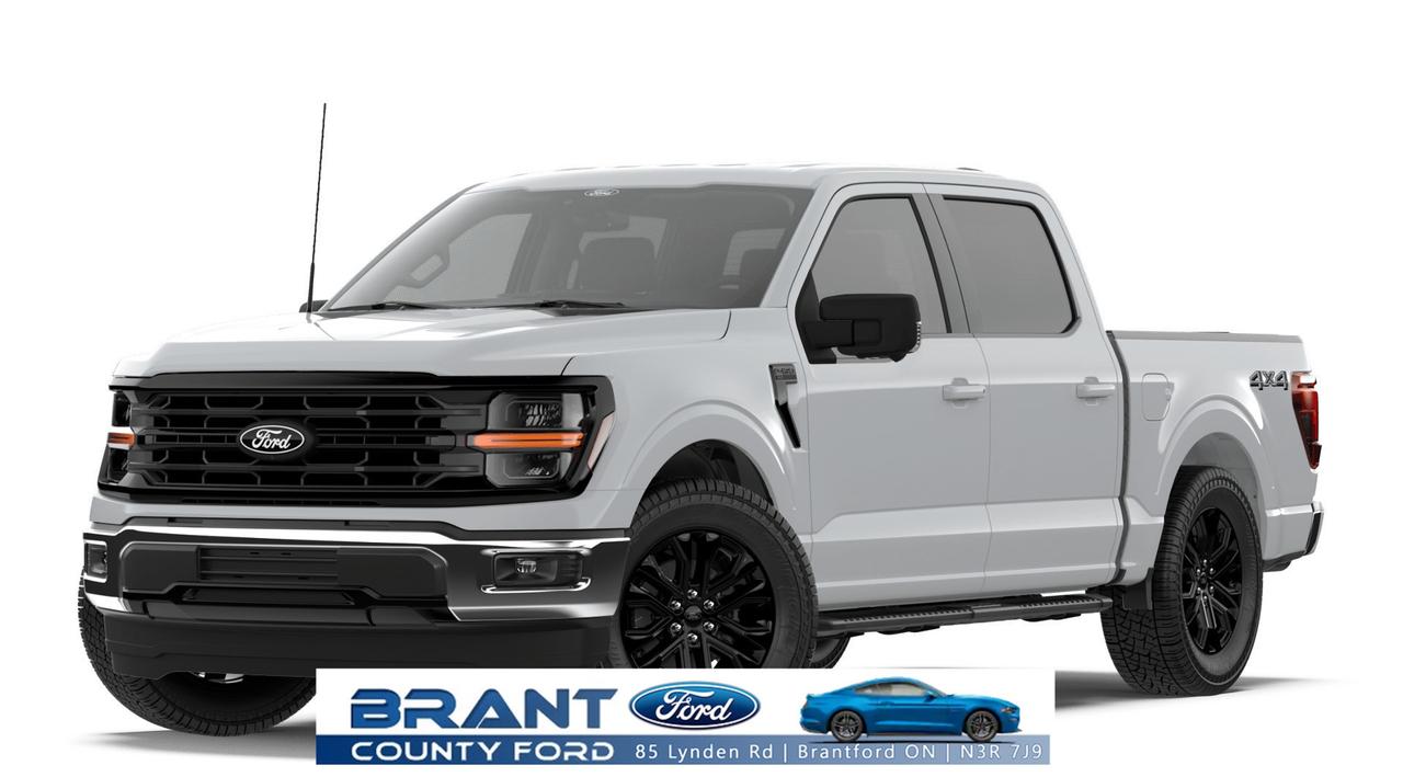 2026 Ford F-150 XLT Photo