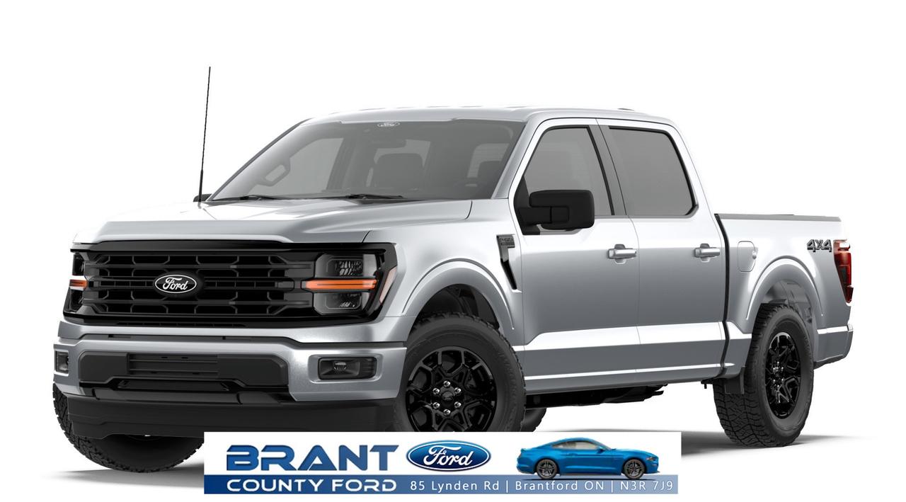 2026 Ford F-150 XLT Photo