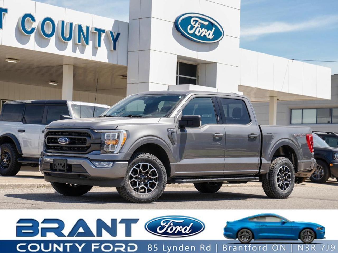 2022 Ford F-150 XL 4WD SuperCrew 5.5' Box | Photo0