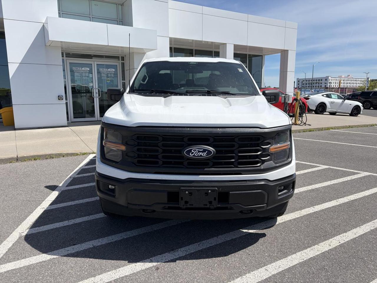 2024 Ford F-150 STX Photo