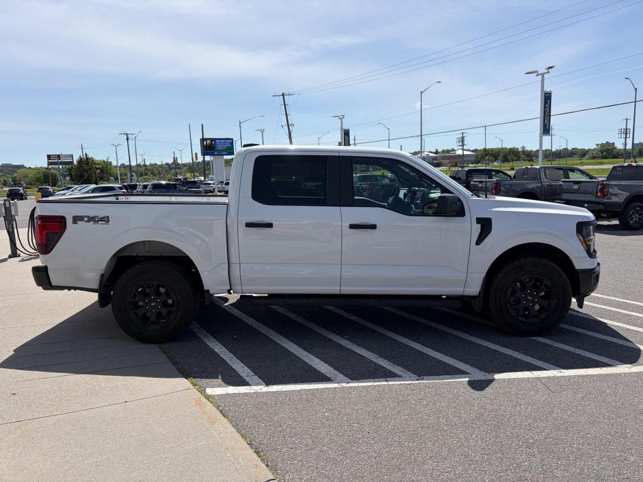 2024 Ford F-150 STX Photo