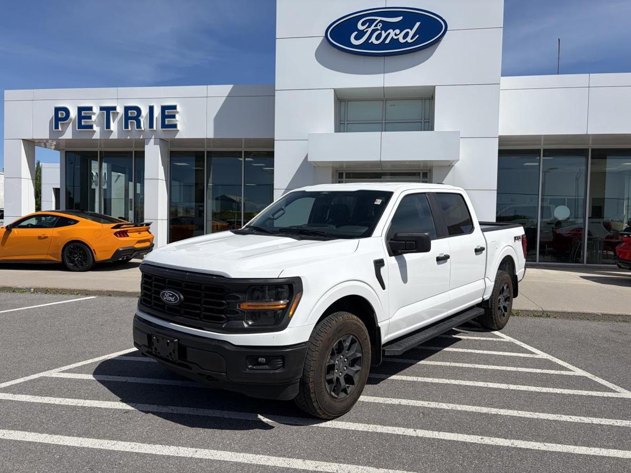 2024 Ford F-150 STX Photo0
