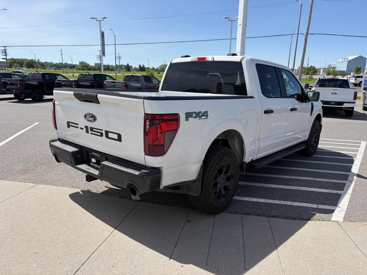 2024 Ford F-150 STX Photo