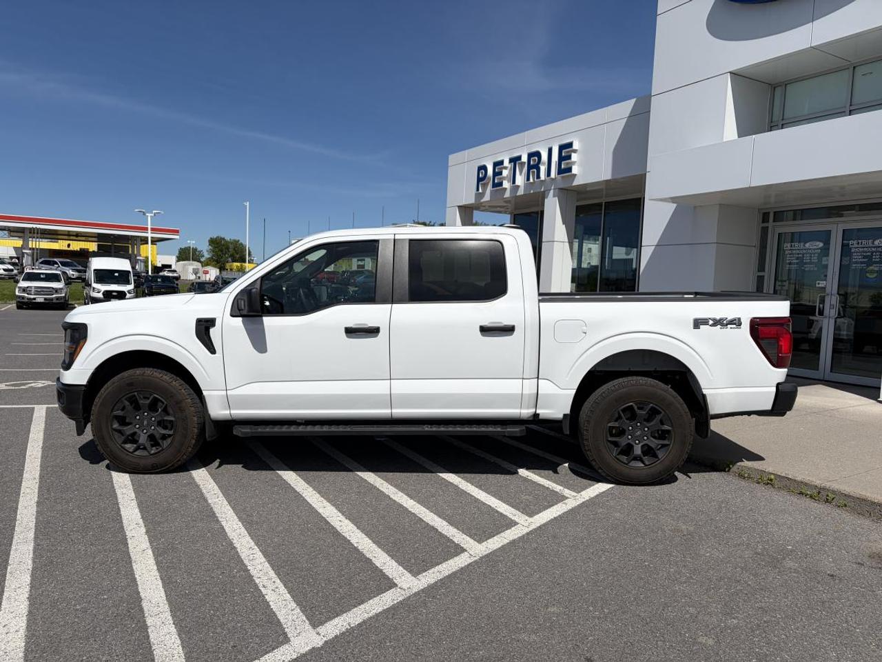 2024 Ford F-150 STX Photo