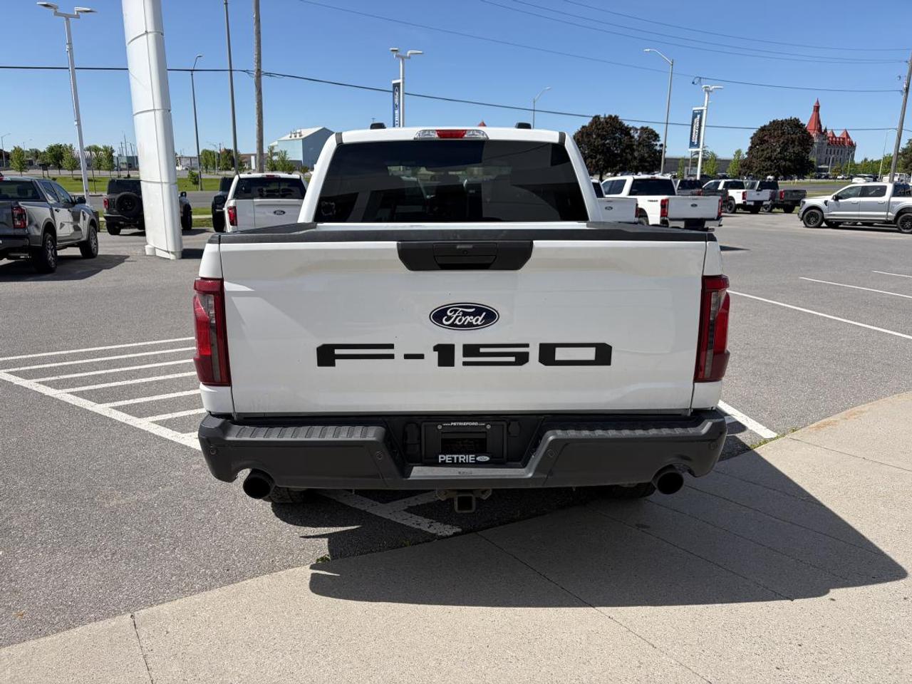 2024 Ford F-150 STX Photo