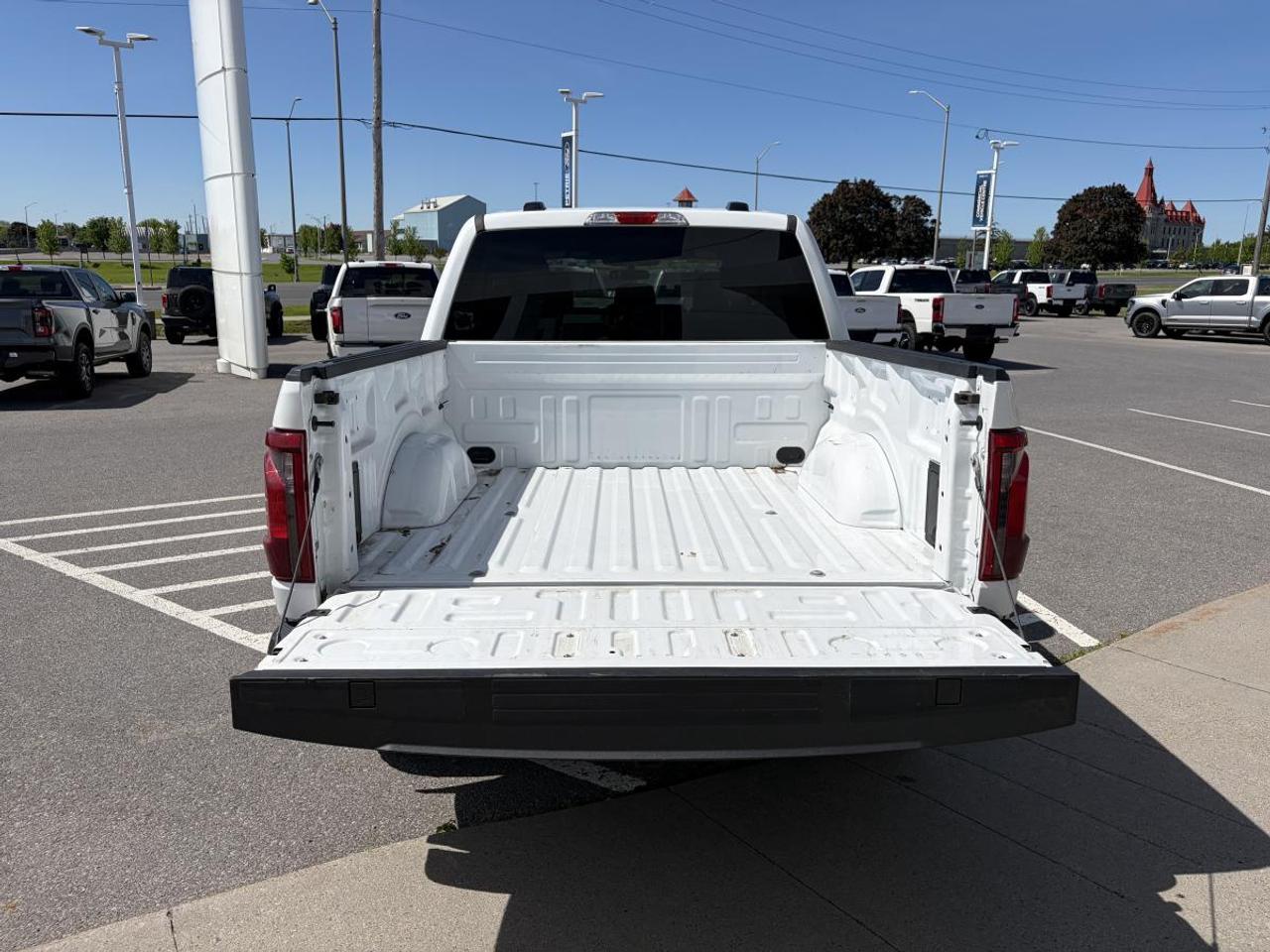 2024 Ford F-150 STX Photo