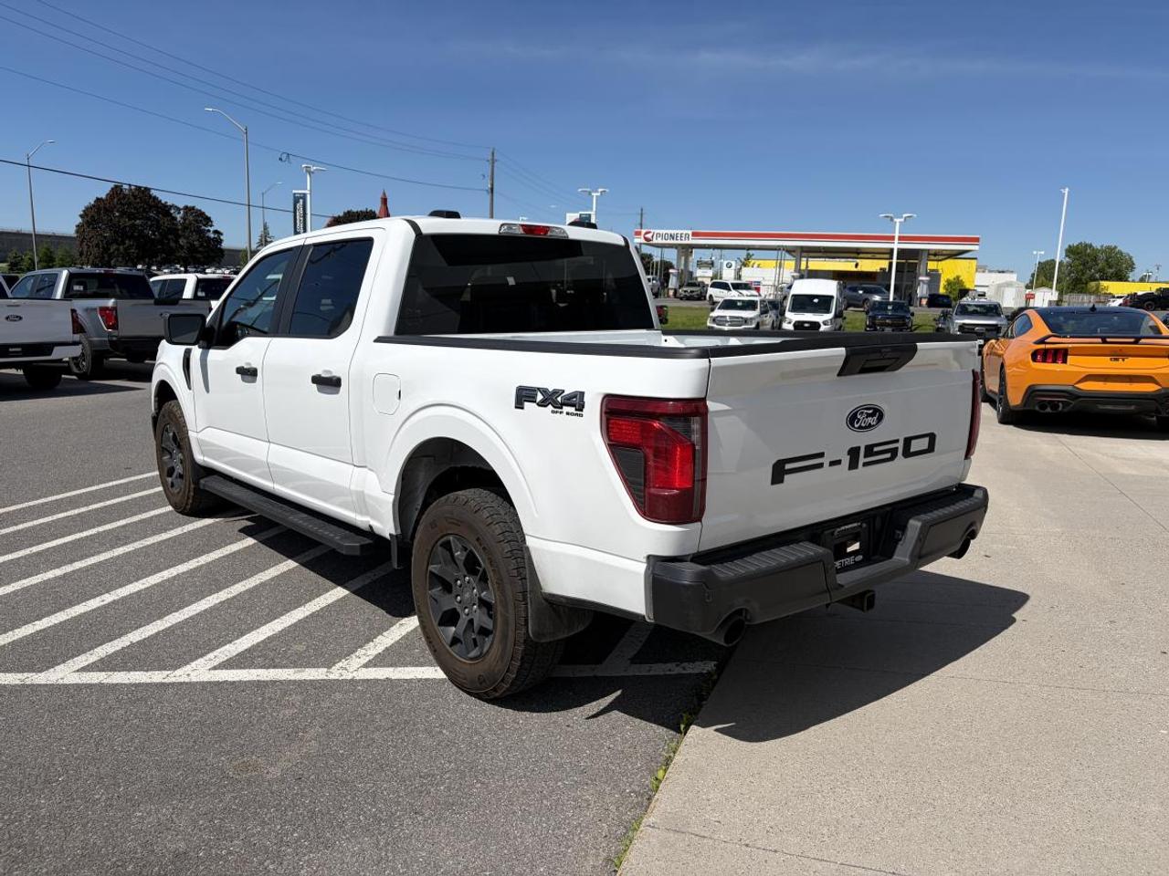 2024 Ford F-150 STX Photo