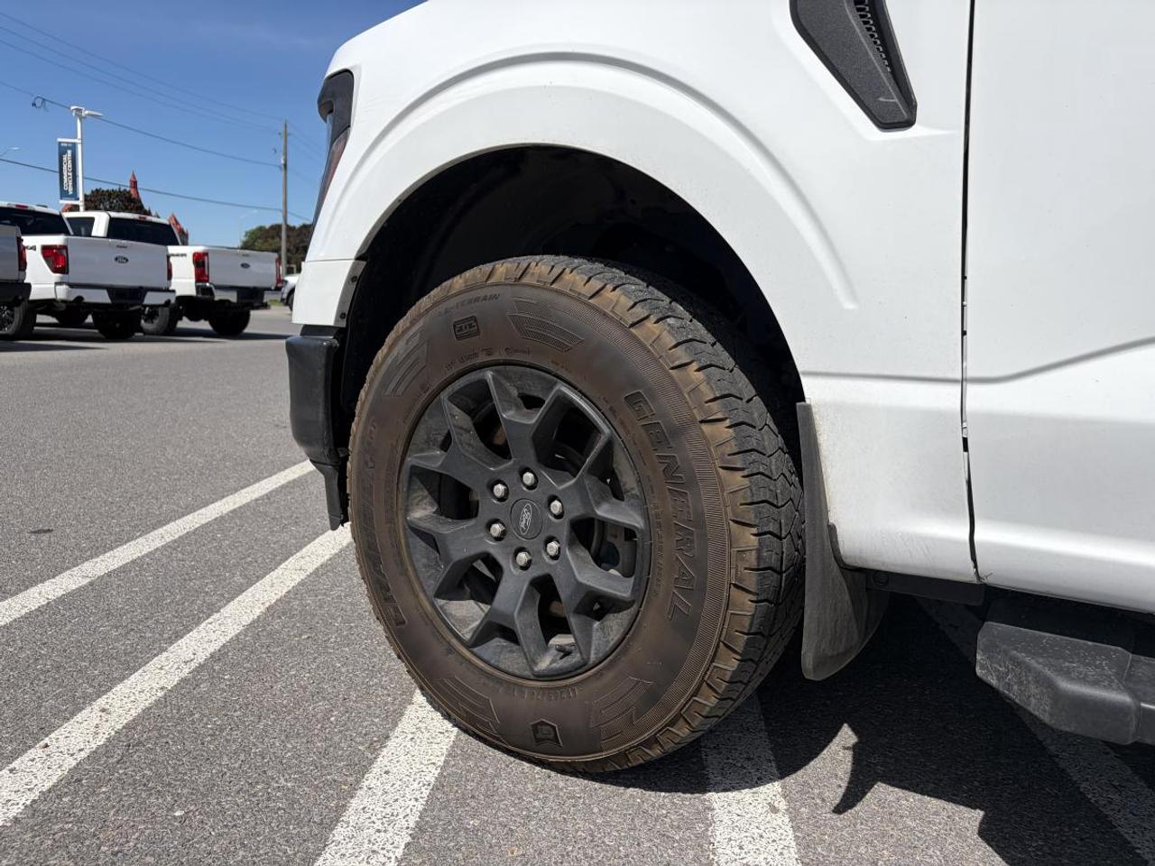 2024 Ford F-150 STX Photo