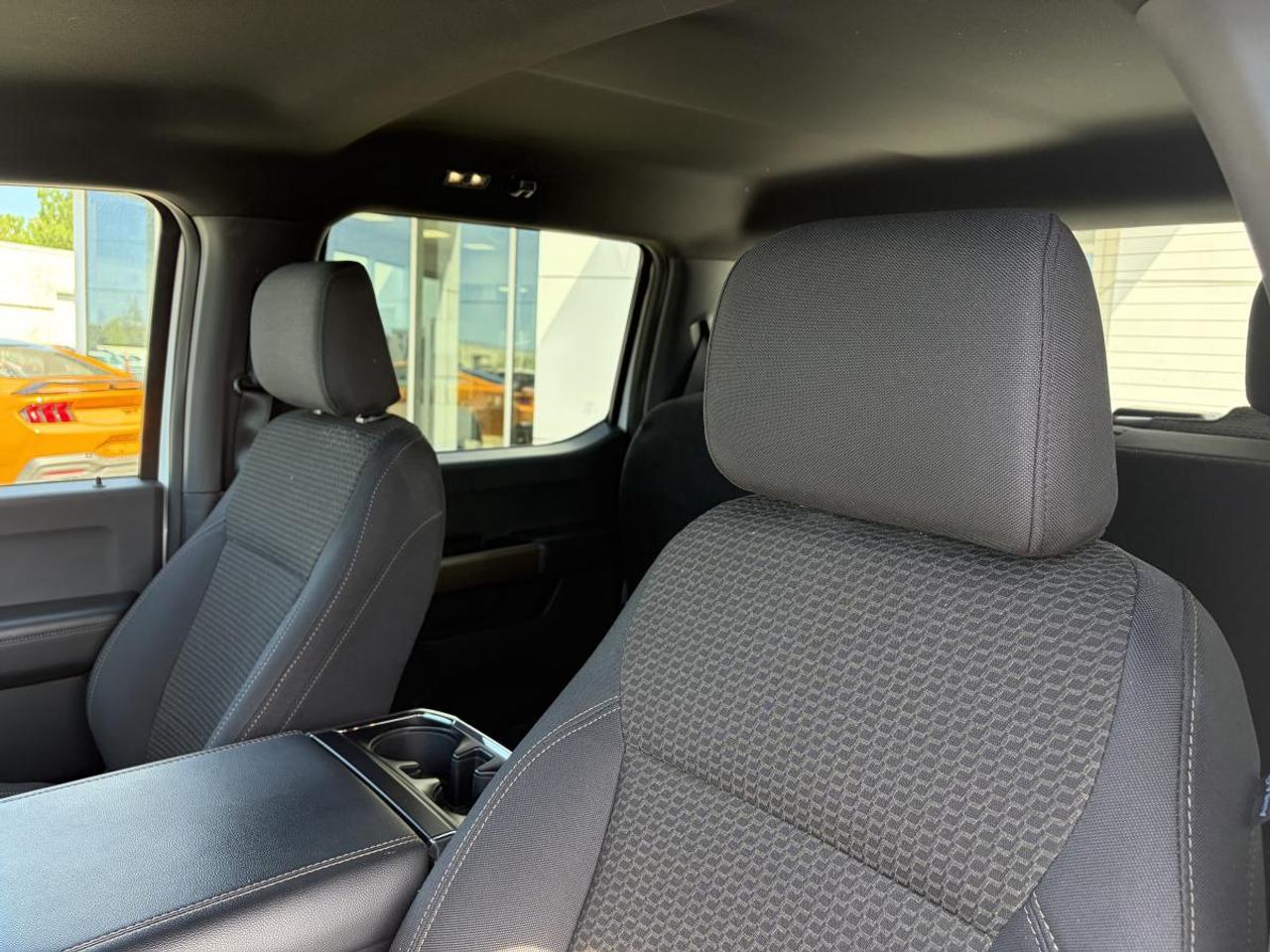 2024 Ford F-150 STX Photo