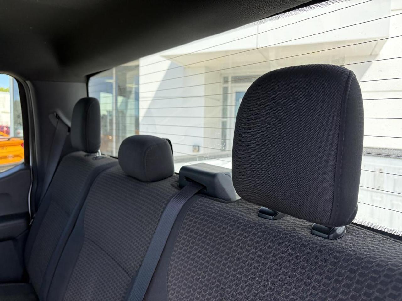 2024 Ford F-150 STX Photo