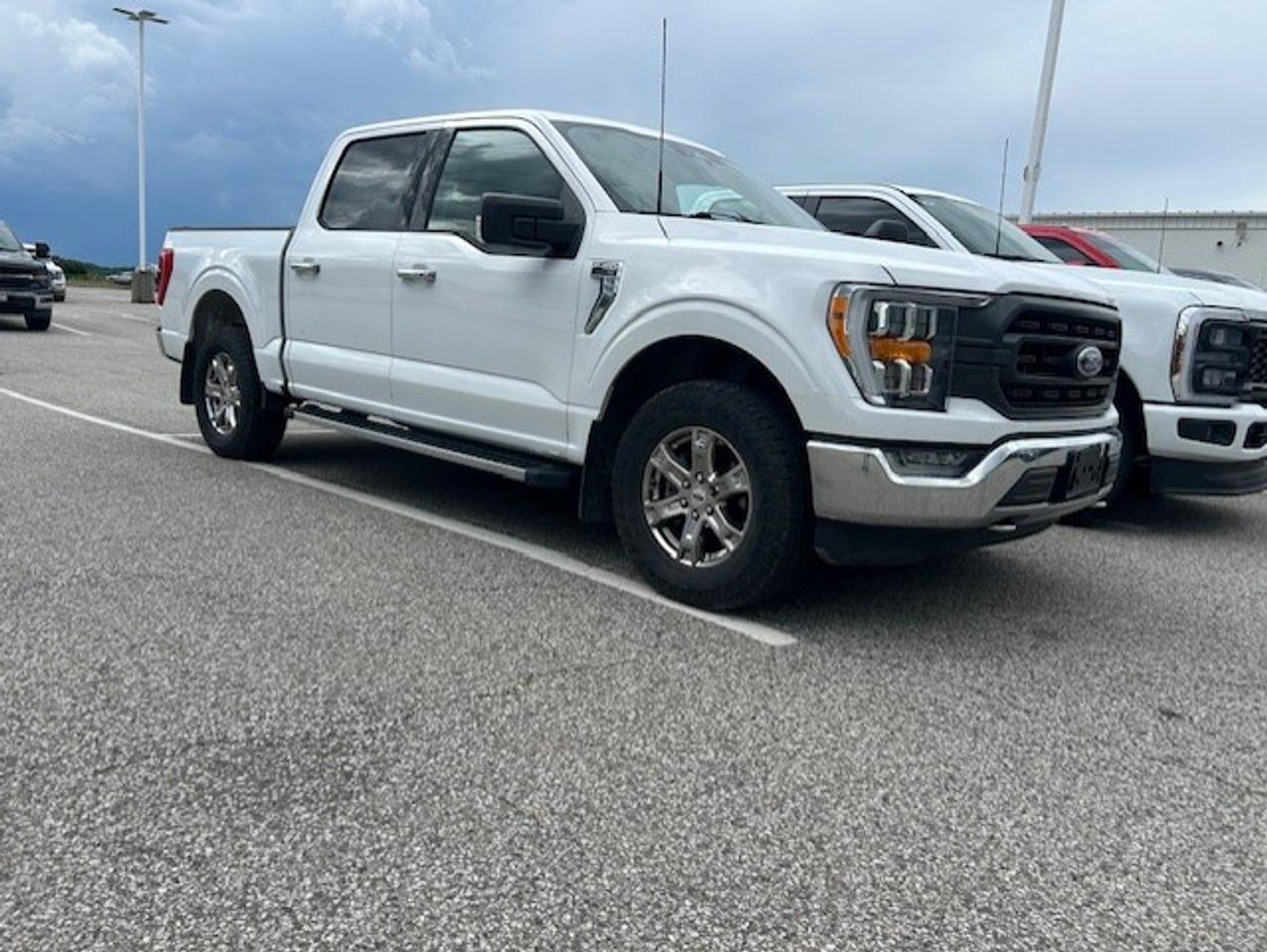 2021 Ford F-150 XLT 4WD SuperCrew 5.5' Box Photo