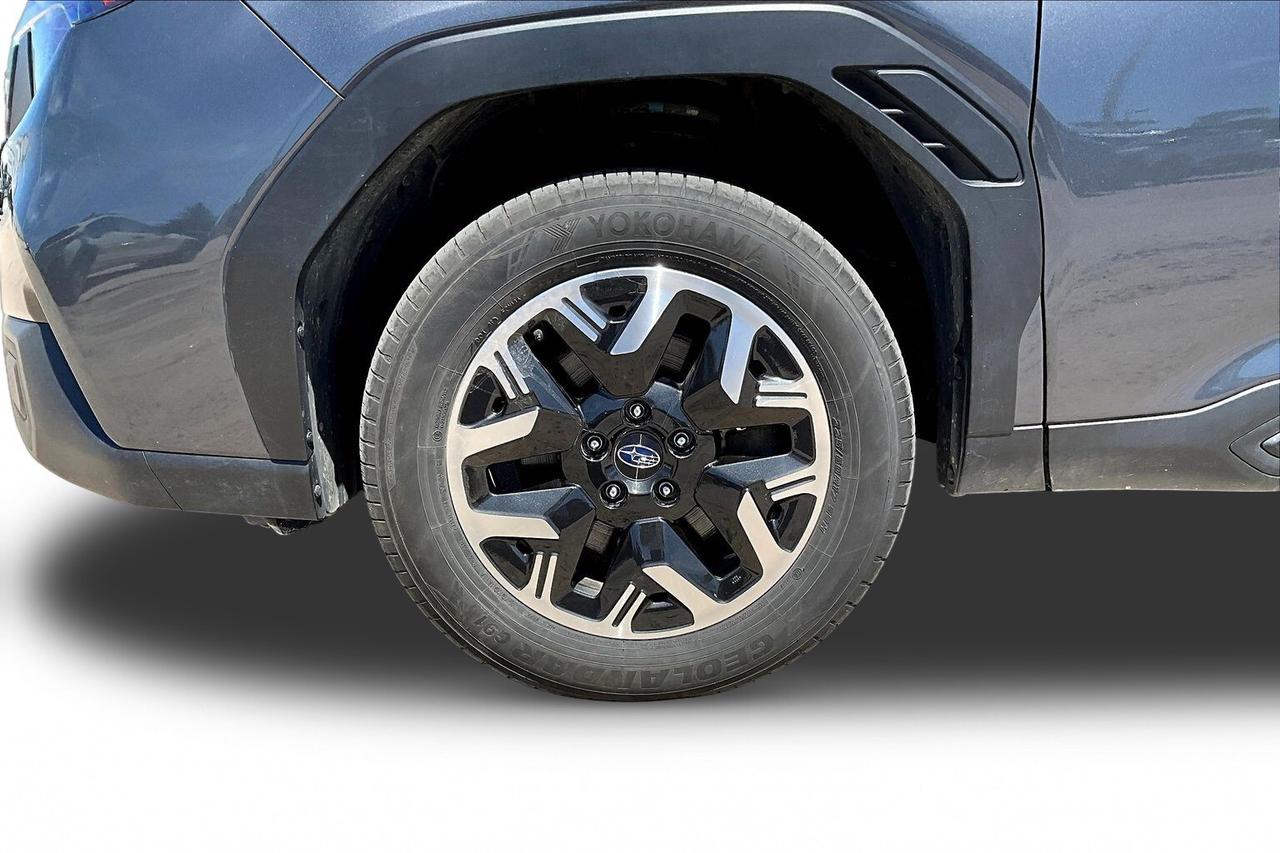 2025 Subaru Forester  Photo
