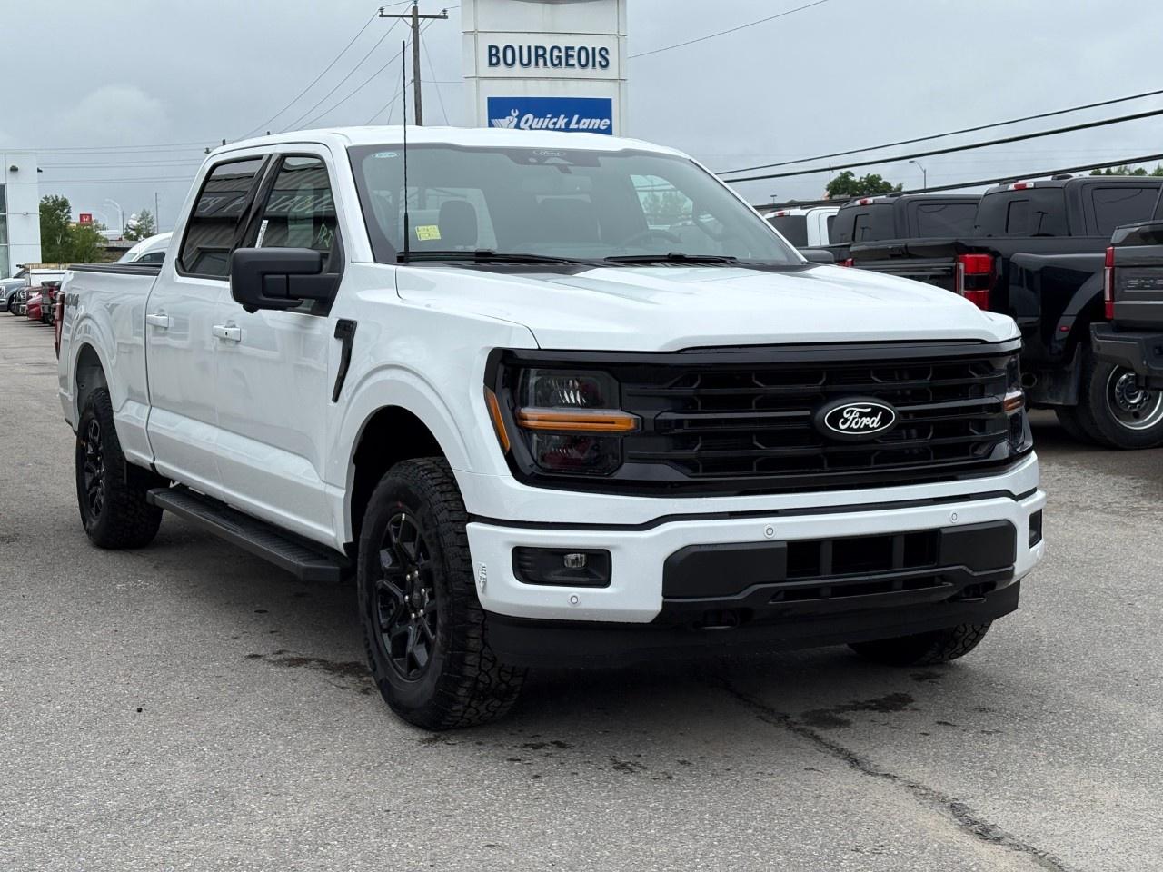 2026 Ford F-150 XLT 4WD SuperCrew 6.5' Box Photo3
