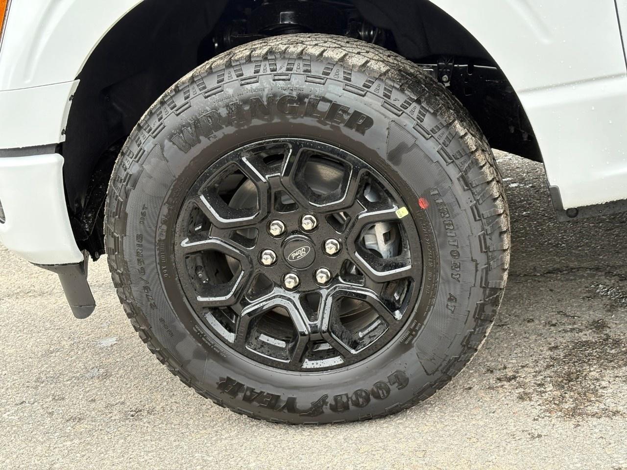 2026 Ford F-150 XLT 4WD SuperCrew 6.5' Box Photo