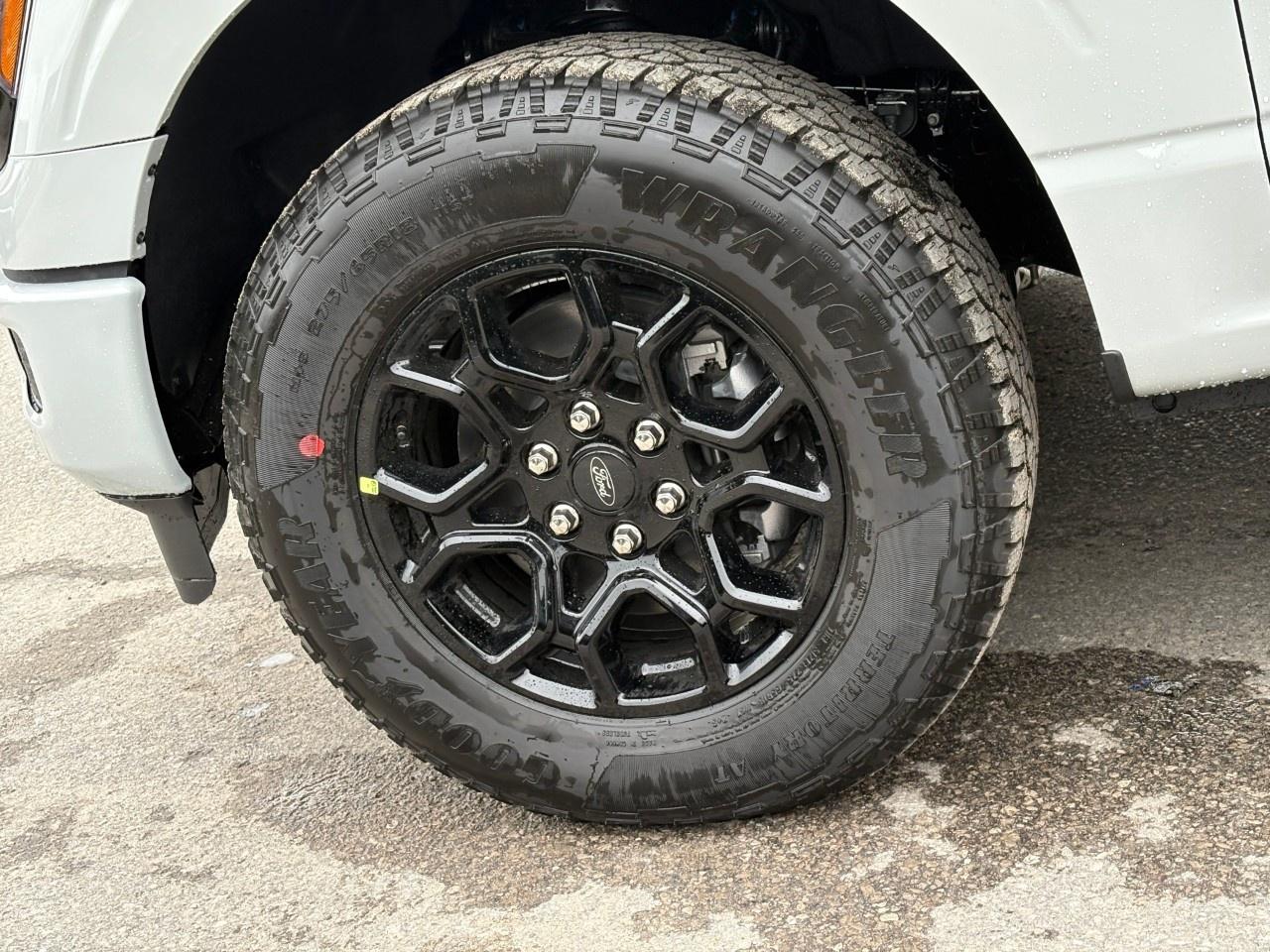 2026 Ford F-150 XLT 4WD SuperCrew 5.5' Box Photo