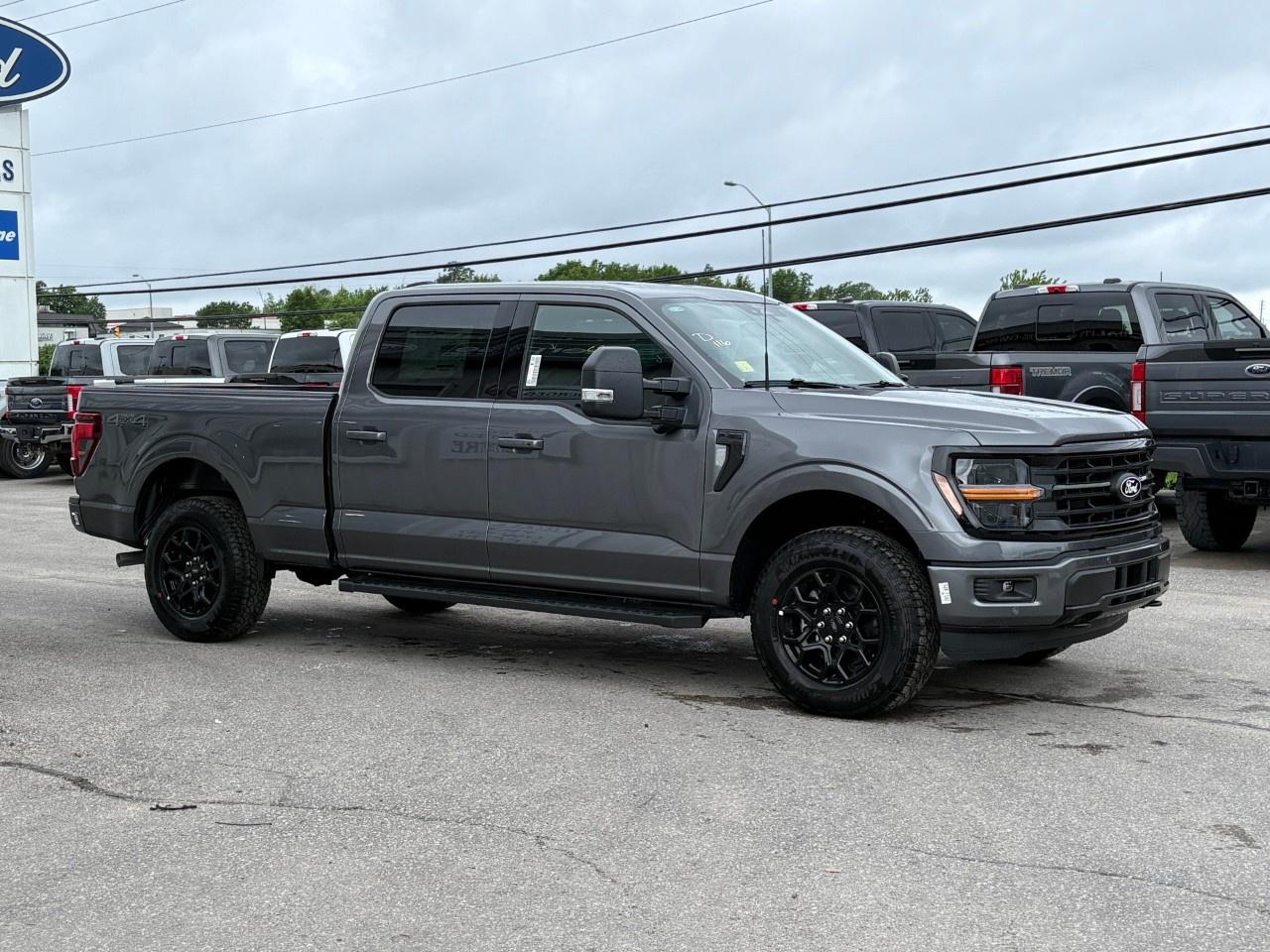 2026 Ford F-150 XLT 4WD SuperCrew 6.5' Box Photo4