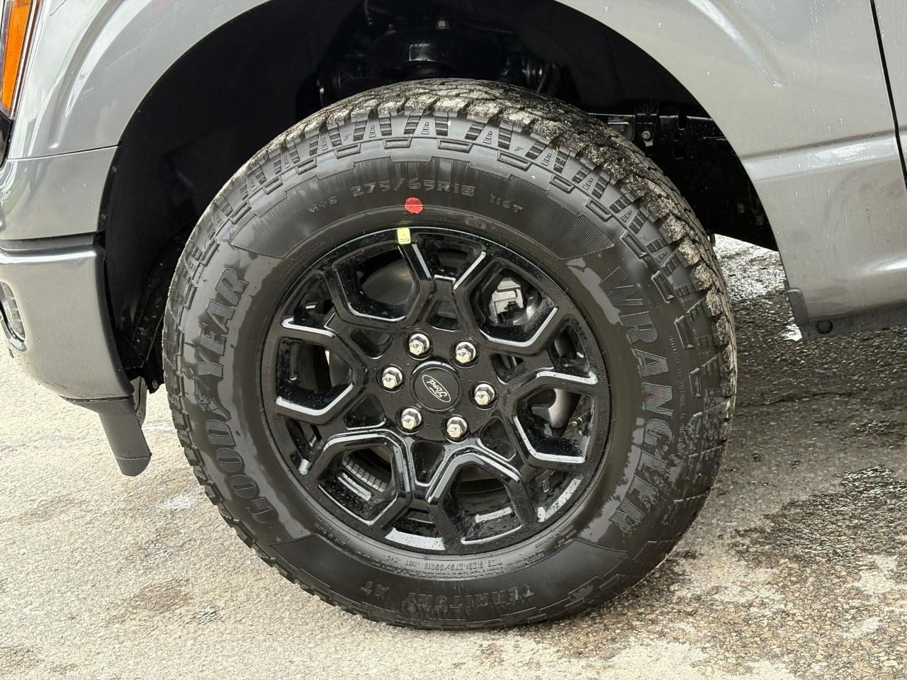 2026 Ford F-150 XLT 4WD SuperCrew 6.5' Box Photo