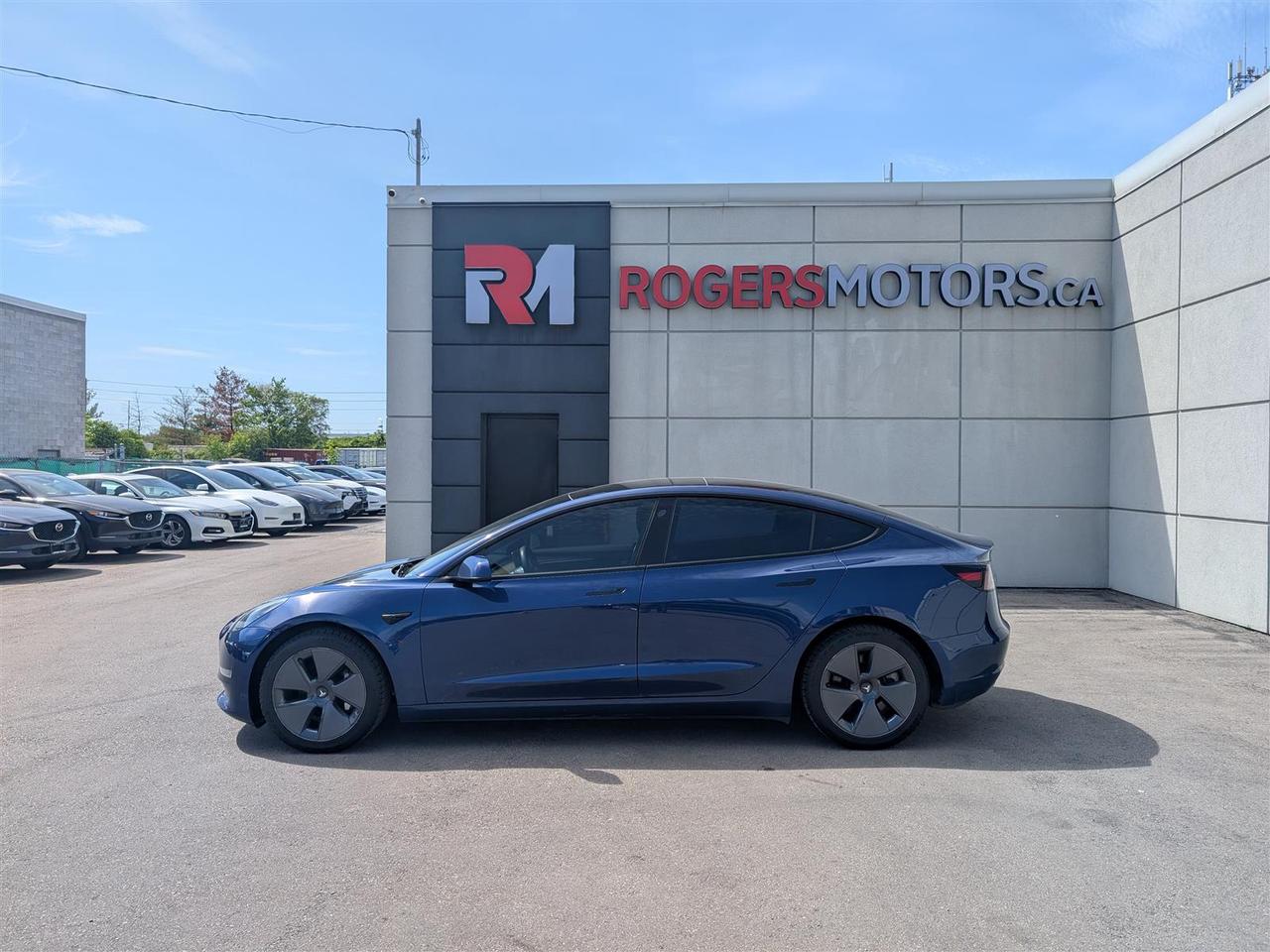 2023 Tesla Model 3 STANDARD Photo