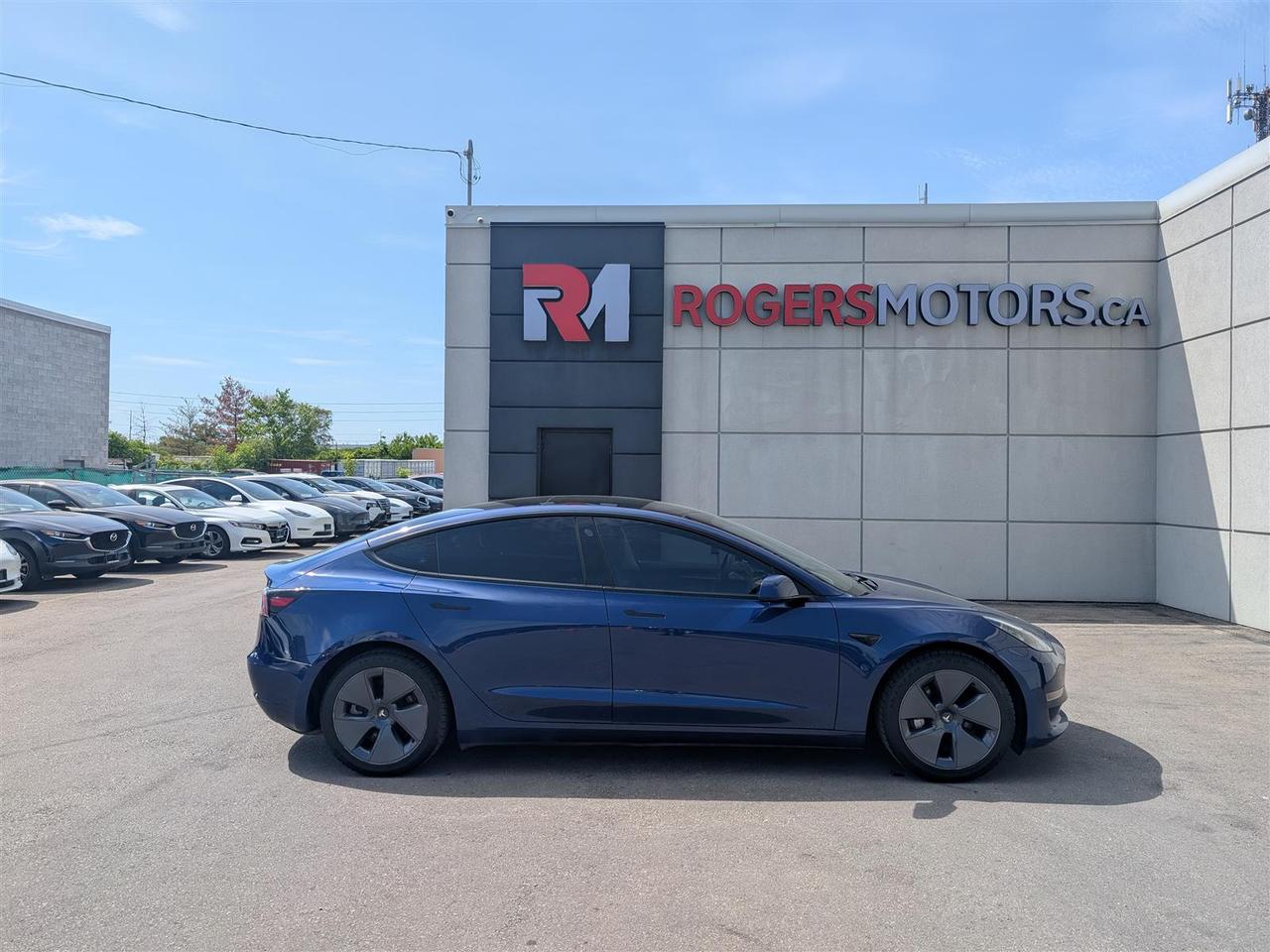 2023 Tesla Model 3 STANDARD Photo